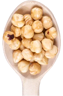 avellanas_Almendras_Capo