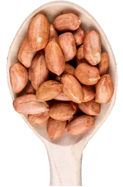 cacahueres_Almendras_Capo